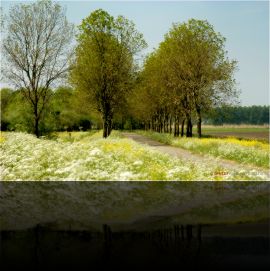 Natuur en Landschap